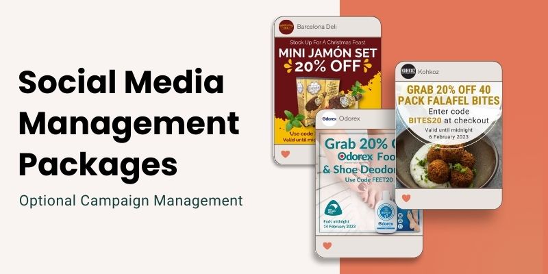 Klaviyo | MailChimp | Build and Send Packages | Creative Web Designs